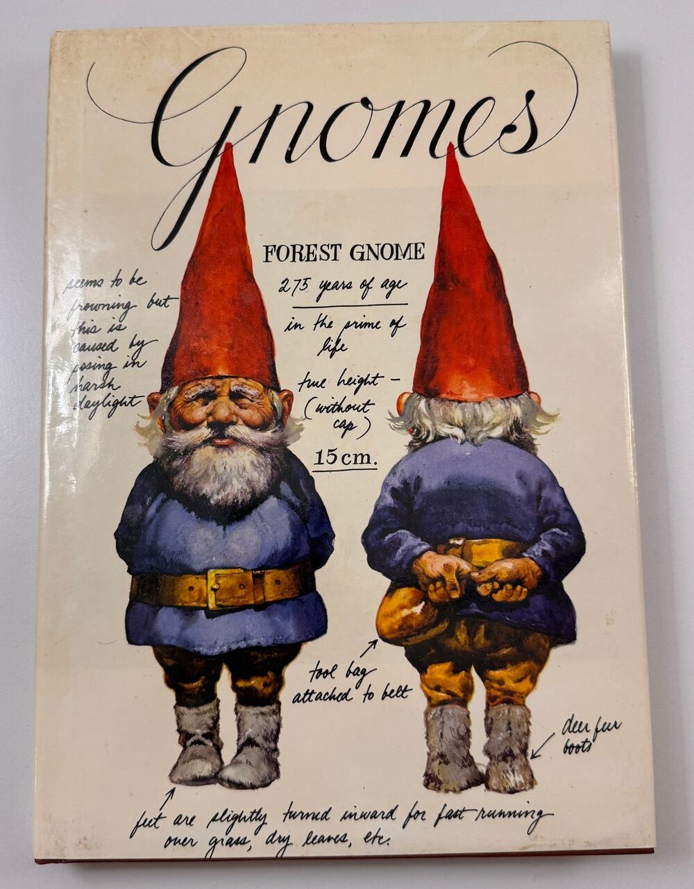 VTG Gnomes Book Rien Poortvliet Wil Huygen Watercolor Illustrations Hardcover